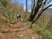 20 Nel bosco con prevalenti carpini neri